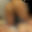 2024-11-12 19:00の投稿