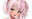 2024-11-19 16:43の投稿