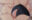 2024-11-19 20:35の投稿