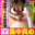 はい、我慢我慢♡えらいね~気持ち良いとこ触れても我慢できたね♡(乳首責め手コキ♡ M男はオナニー♡ エロギャルコスプレ♡) (1/3)