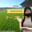 2024-12-14 09:55の投稿