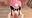 2024-12-20 08:47の投稿