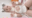 2024-12-24 00:00の投稿