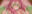 2020-04-09 04:16の投稿