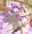 2025-01-09 16:28の投稿