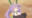 2025-01-10 12:51の投稿