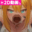 2025-01-10 19:32の投稿