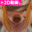 2025-01-11 19:00の投稿
