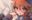 2020-04-11 16:19の投稿