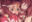 2025-01-17 16:46の投稿