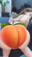 2025-01-19 13:15の投稿
