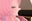 2025-01-19 19:23の投稿