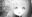 2025-01-26 00:00の投稿