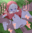 2025-01-25 00:00の投稿