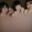 2025-02-01 19:00の投稿