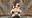 2025-01-26 18:00の投稿