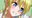 2025-01-27 00:25の投稿