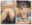 2025-01-28 19:26の投稿