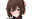 2025-01-29 20:19の投稿