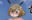 2025-01-29 23:11の投稿