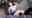 2025-02-04 09:27の投稿