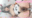 2025-02-12 00:00の投稿