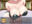 2025-02-16 10:48の投稿