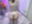 2025-02-17 21:29の投稿