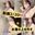 2025-02-20 20:44の投稿