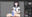 2025-02-23 01:44の投稿