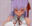 2025-03-01 00:14の投稿