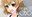 2020-04-21 23:18の投稿