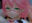 2025-03-05 22:01の投稿