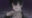 2025-03-10 00:45の投稿