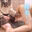 牛乳瓶に射精させられて情けない姿のM男 ZOOM OUT Ver. (1/3)