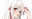 2025-03-10 11:59の投稿