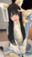 2025-03-12 15:39の投稿