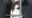 2025-03-14 18:00の投稿