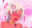 2025-03-16 20:23の投稿