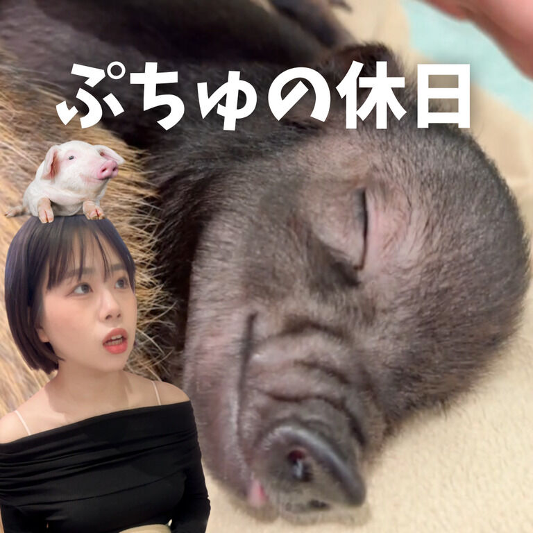 かわいい無料動画とお知らせだよ💋💕 (1/3)