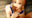2025-03-19 15:00の投稿