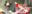 2025-03-19 16:29の投稿