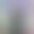 2025-03-24 08:47の投稿