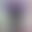 2025-03-24 09:17の投稿