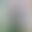 2025-03-24 09:19の投稿