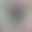 2025-03-24 10:02の投稿