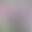 2025-03-24 12:53の投稿