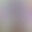 2025-03-24 16:28の投稿