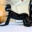 2025-03-29 21:00の投稿