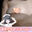 【写真とミニ動画】髪ブラとお風呂に浮かぶおっぱいってクラゲっぽいなと思って撮った動画! (1/3)